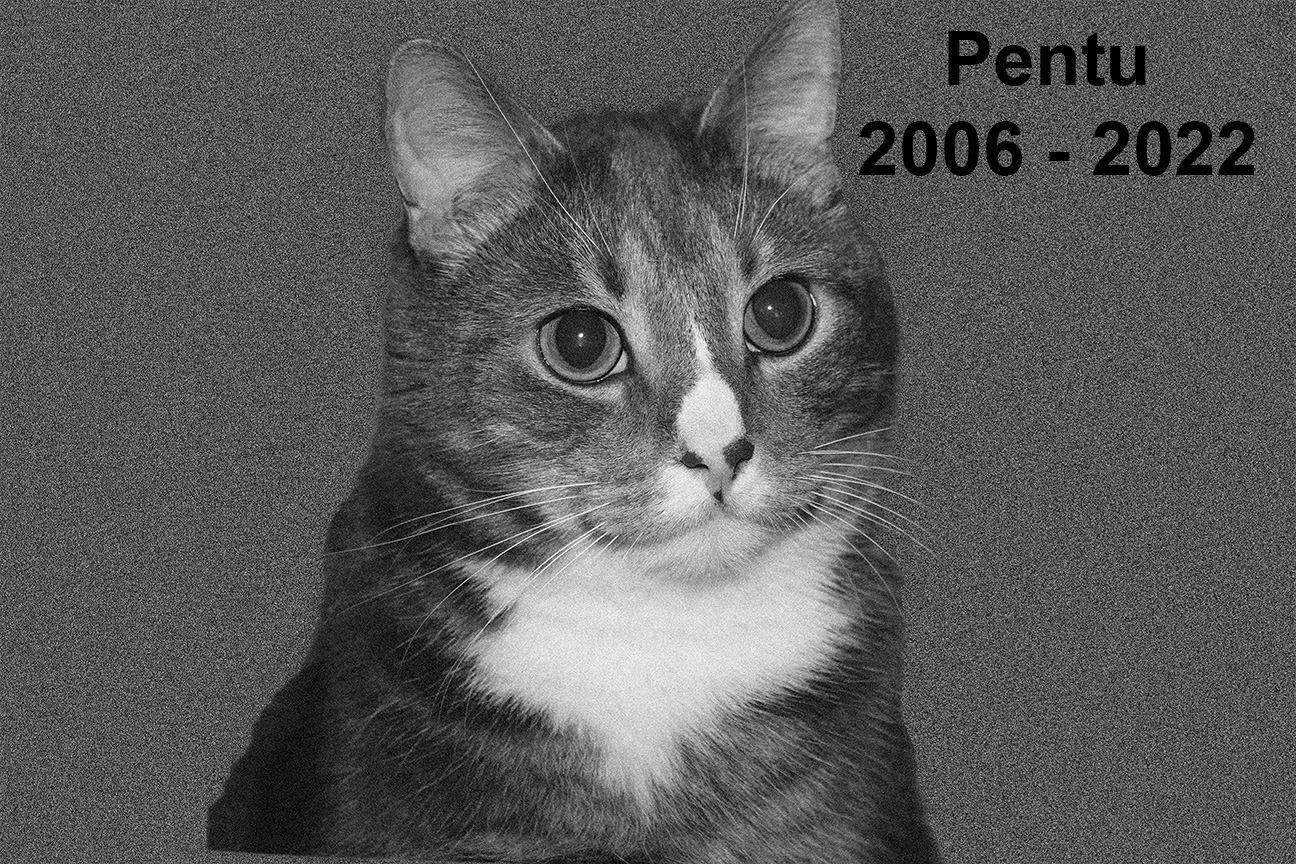 Pennun virallinen kuva